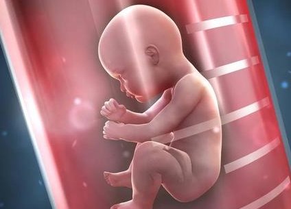 武汉试管婴儿医院成功率排名 附武汉试管婴儿费用参考