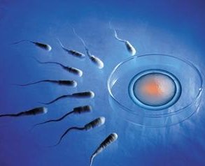 宁波地区有哪些私立的机构可以做试管技术？双顶径股骨长判断标准？