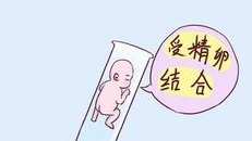 40岁amh7.9，患子宫肌瘤试管成功率高吗？