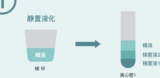 温州试管婴儿费用要准备多少？明细有没有？