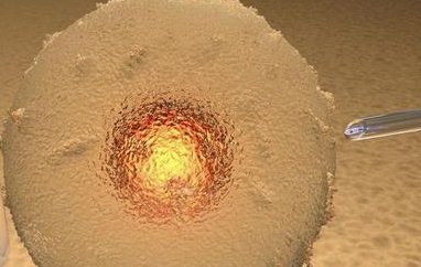 吉林第三代试管婴儿要多少钱成功率是多少？