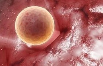 北京私立试管医院排名前十？私立医院VS公立医院