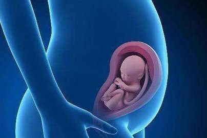 马来西亚试管婴儿价格是多少？马来西亚试管成功率高吗